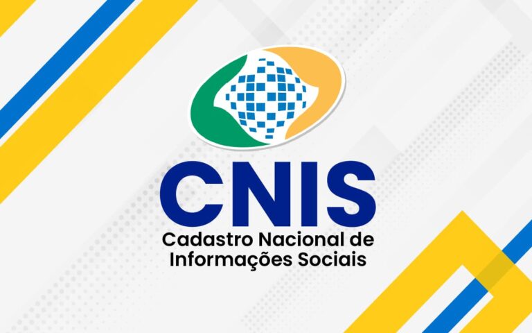 CNIS: Como Acessar e Consultar