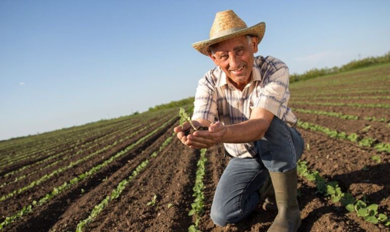 Documentos para Aposentadoria Rural: Guia Completo para Garantir Seus Direitos