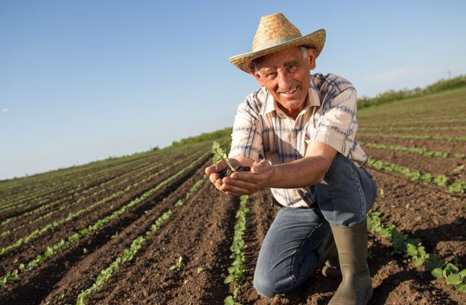 Documentos para Aposentadoria Rural: Guia Completo para Garantir Seus Direitos